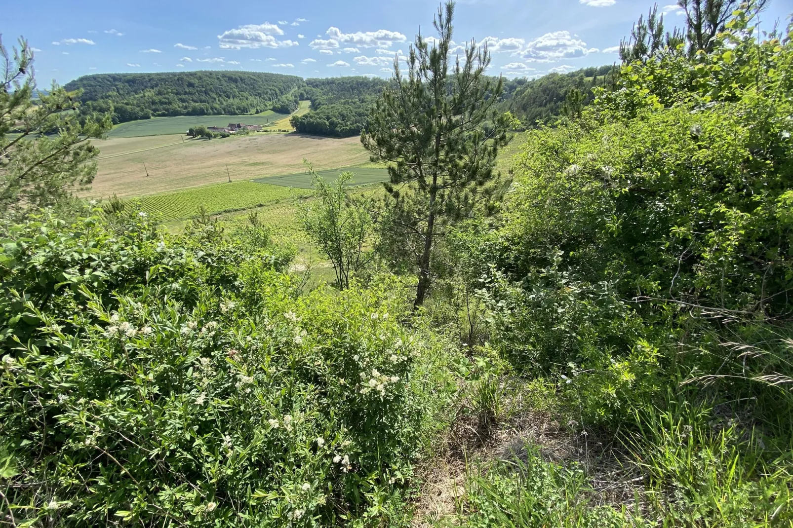 Maison de Vacances Bouix-Gebieden zomer 5km