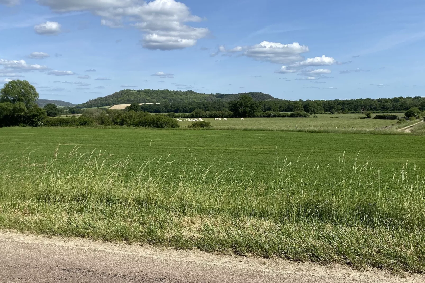 Maison de Vacances Bouix-Gebieden zomer 5km