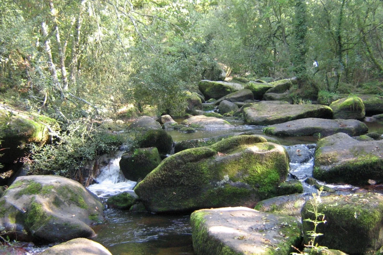 Villa des Prés-Gebieden zomer 1km