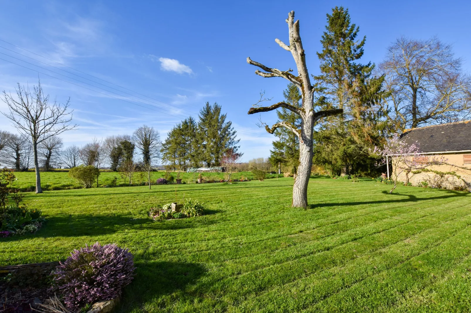 Jolie maison en pays de Rance-Tuinen zomer