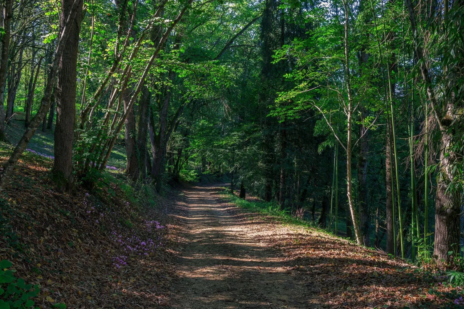 La Dépendance-Gebieden zomer 1km