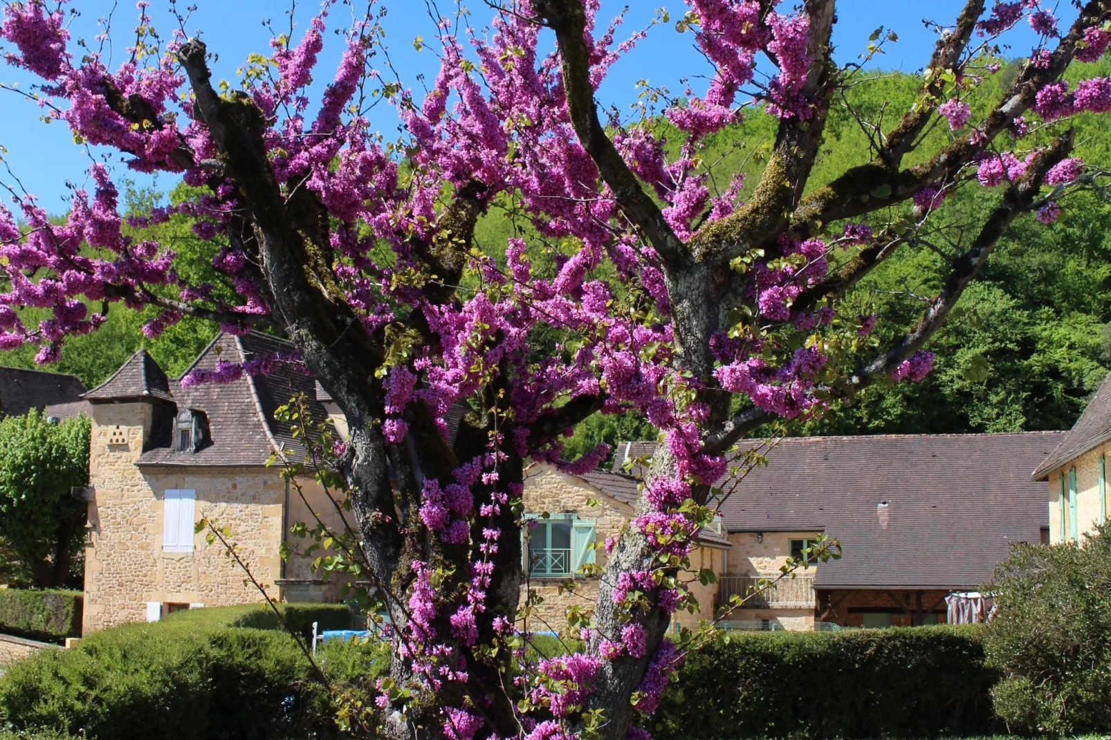 St Vincent Le Paluel La Grange-Sfeer