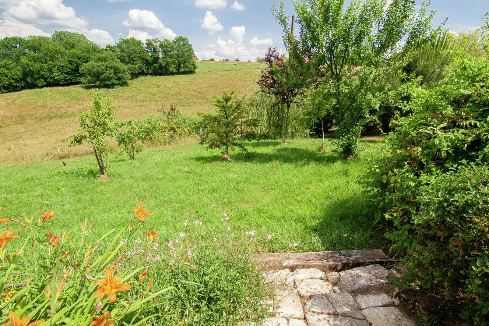 Gîte du Bousquet-Gebieden zomer 1km