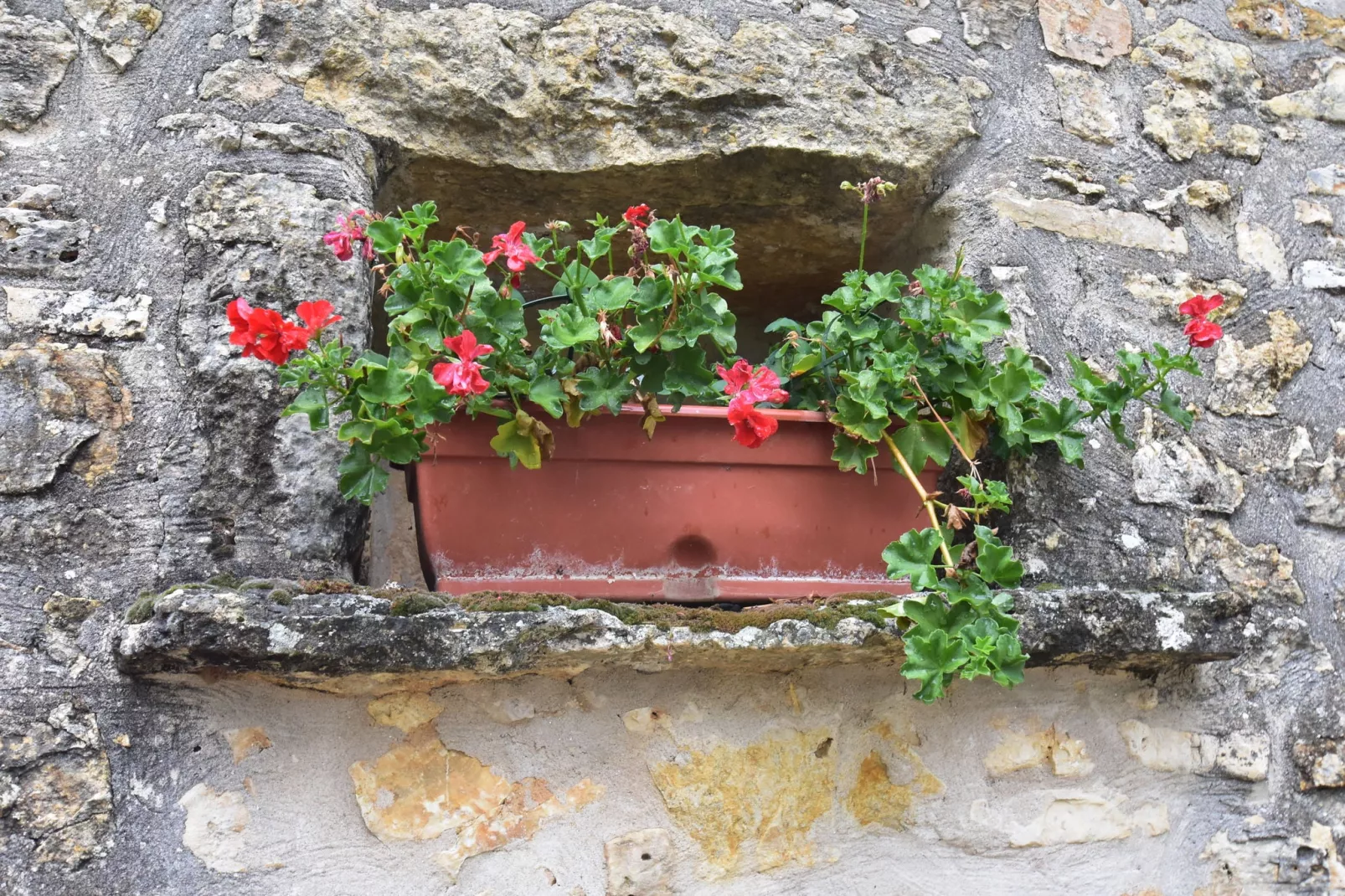 Maison de vacances  Berbiguieres 2p-Sfeer