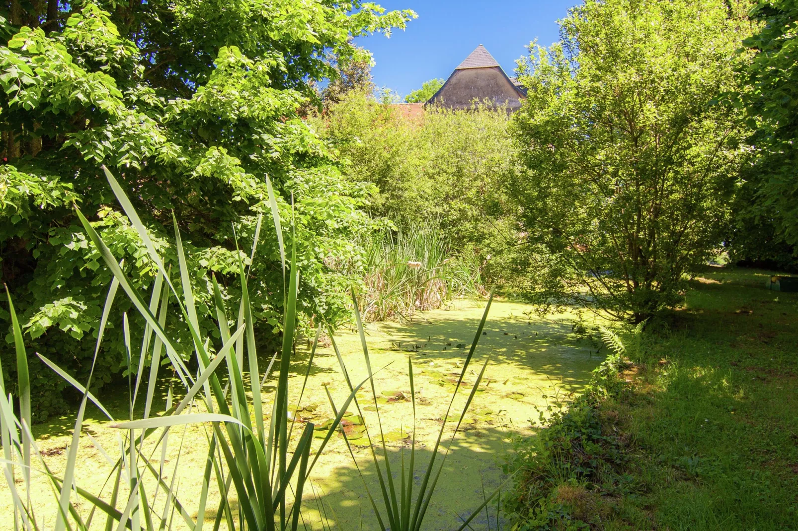 Un Manoir en Dordogne-Tuinen zomer