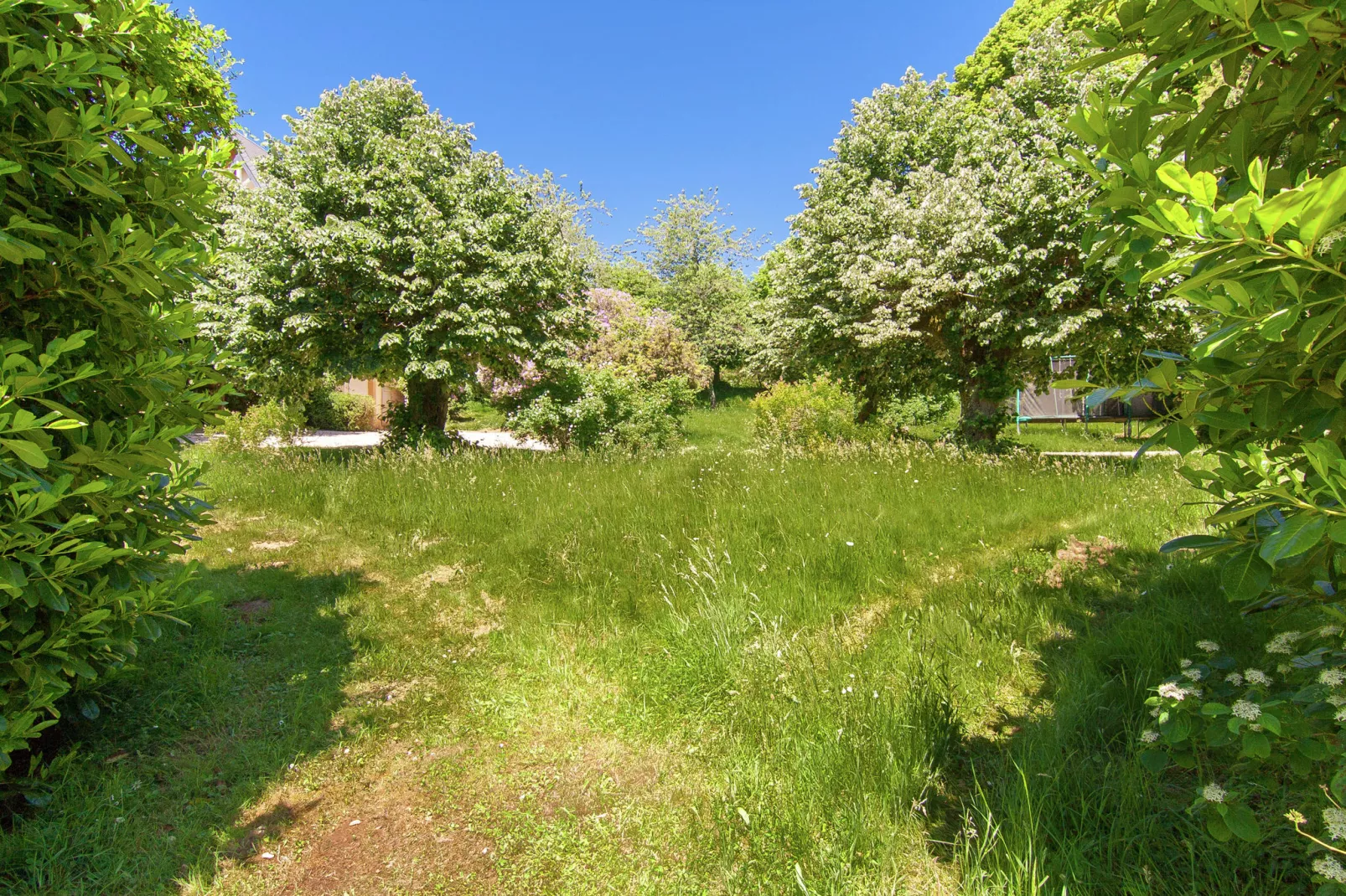 Un Manoir en Dordogne-Tuinen zomer