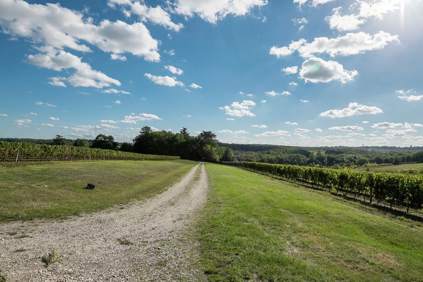 Maison de vacances Saint Nexans 4 p-Gebieden zomer 1km