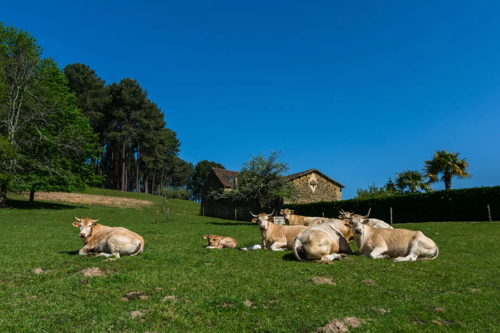 Maison de vacances Loubejac-Gebieden zomer 1km