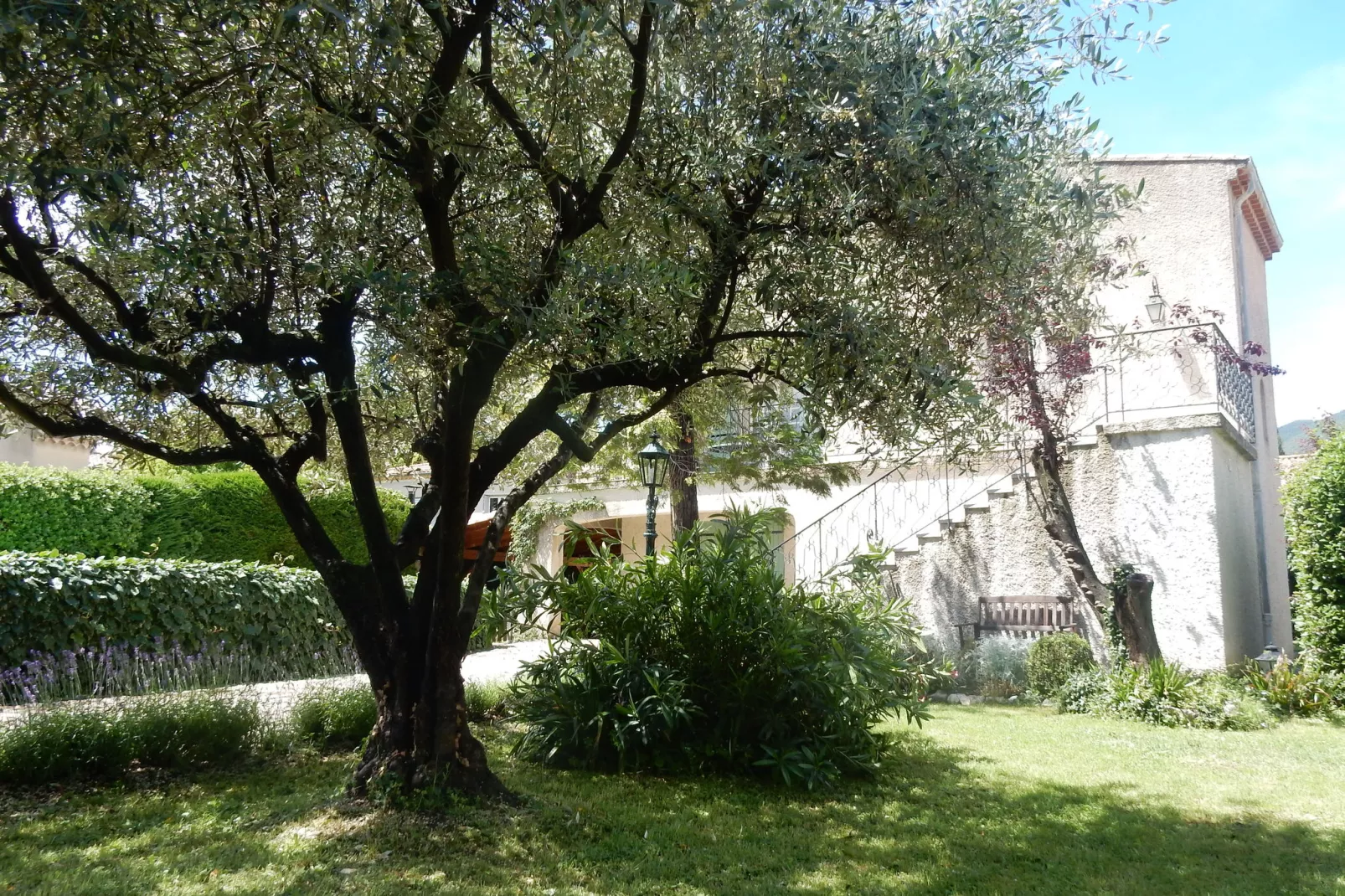 Villa Enniroc-Tuinen zomer