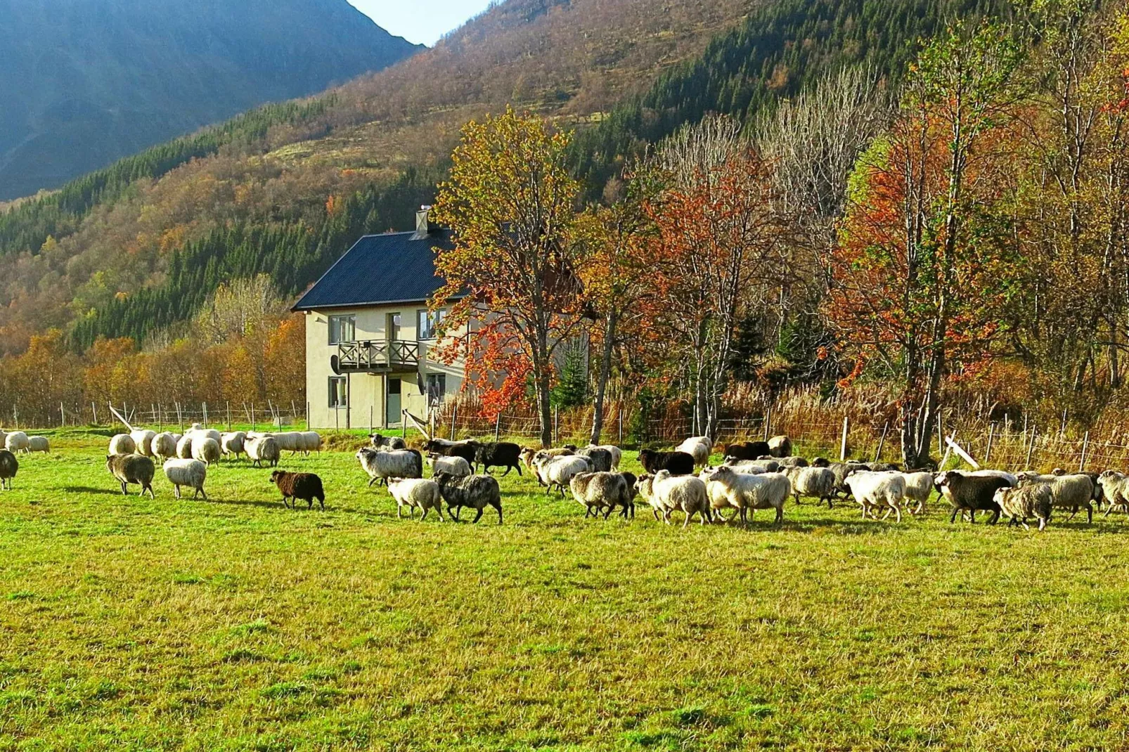 6 persoons vakantie huis in ALSVÅG-By Traum-Niet-getagd