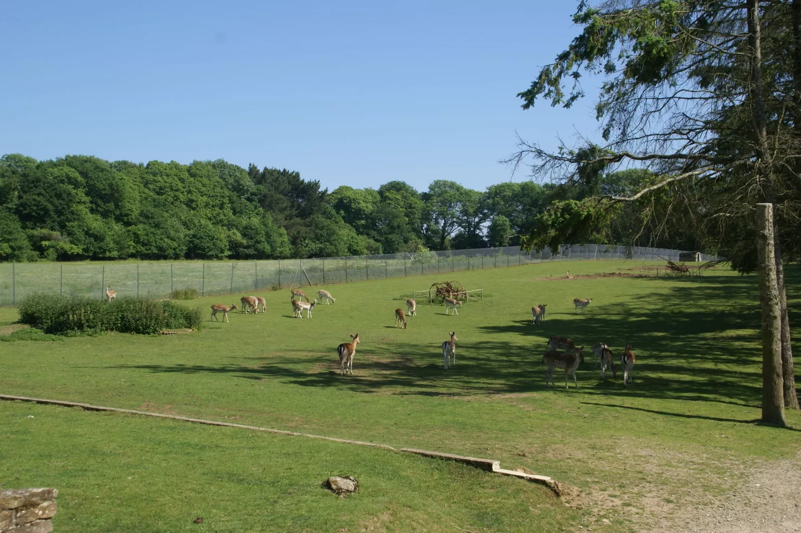 Maison mitoyenne dans un parc animalier proche mer-Gebieden zomer 1km