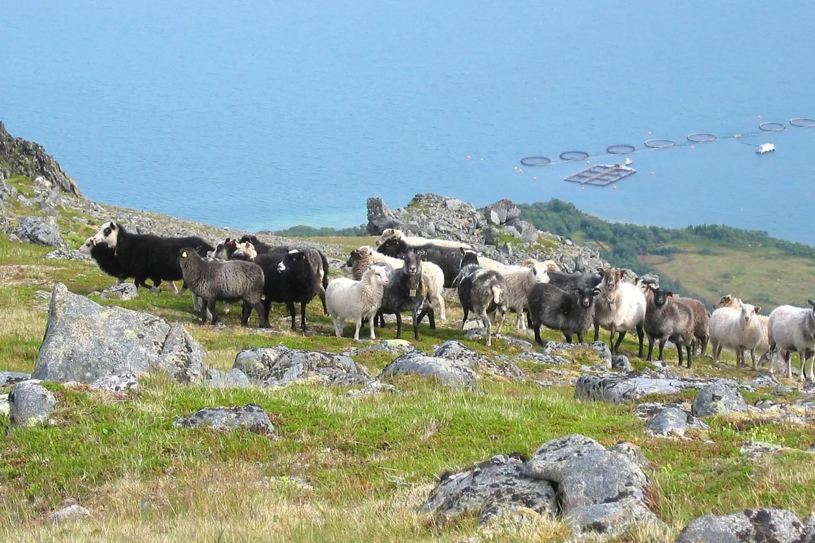 6 persoons vakantie huis in ALSVÅG-By Traum-Uitzicht