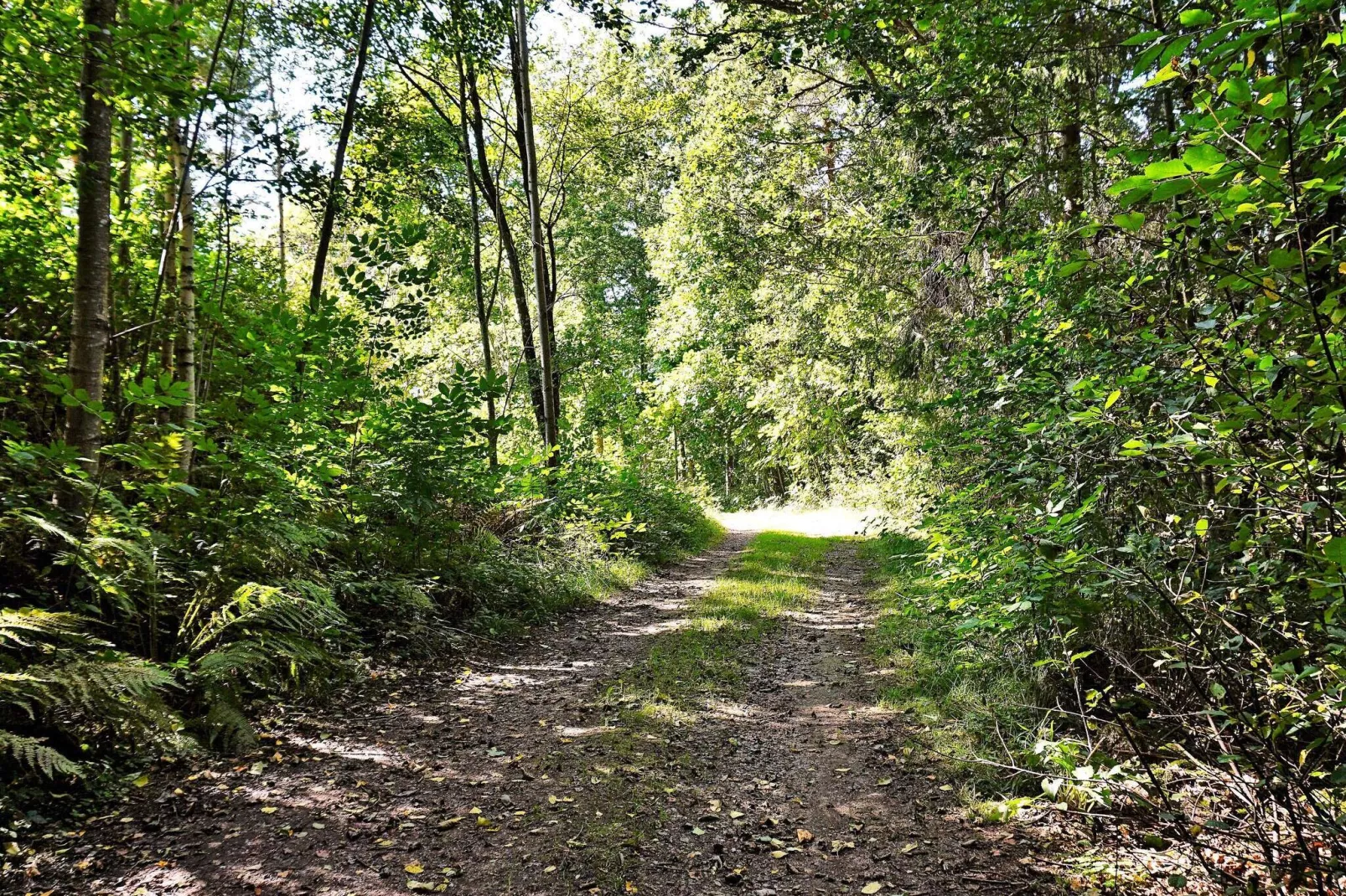 5 persoons vakantie huis in HENÅN-Buitenlucht