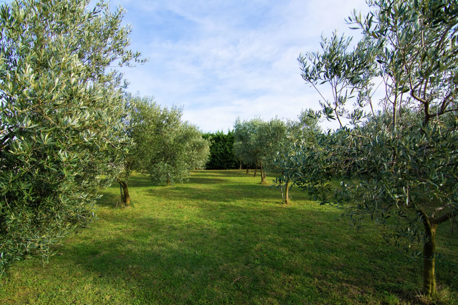 Maison de vacances - MONTFRIN-Gebieden zomer 1km