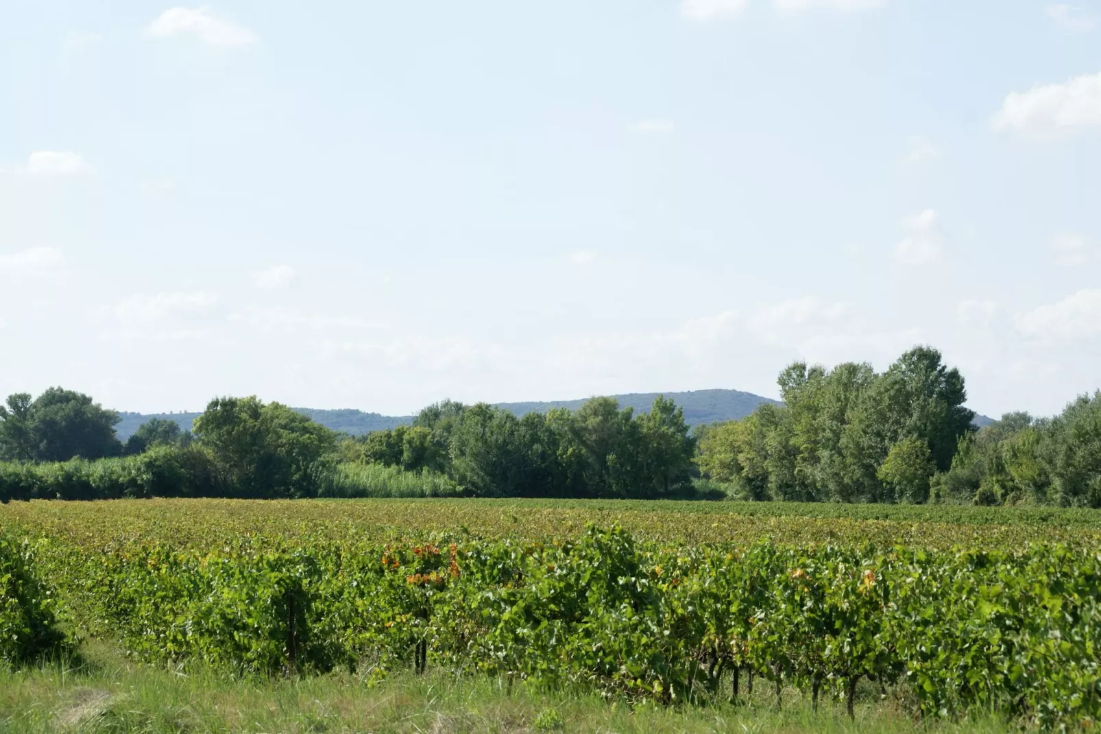 Maison de vacances - MONTFRIN