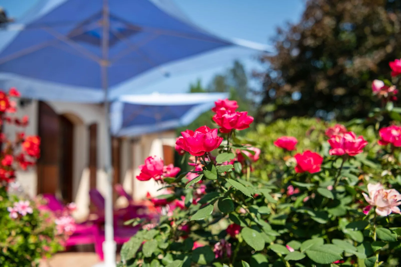 Villa Pineuilh près de Dordogne-Sfeer