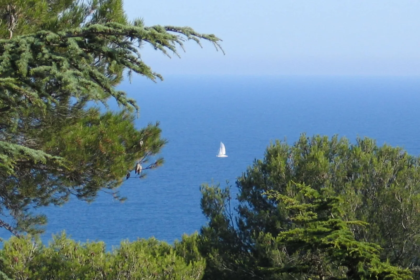 Les Pescalunes 1-Gebieden zomer 5km