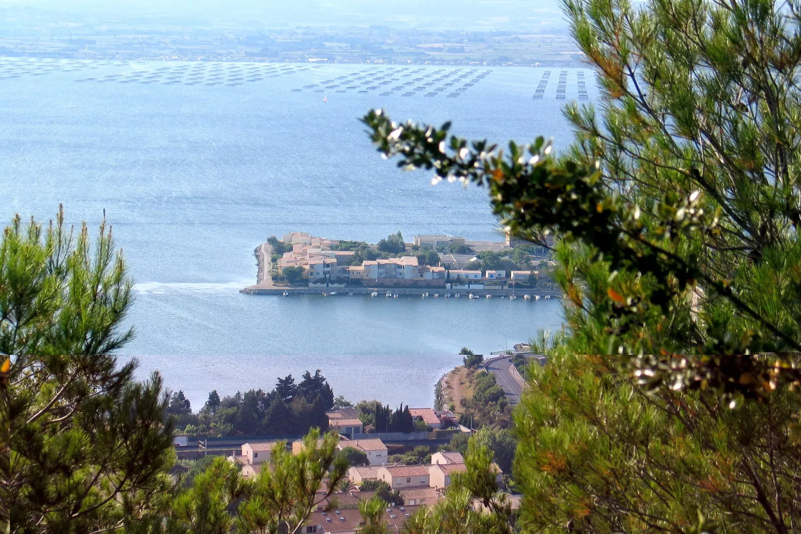 Les Pescalunes 1-Gebieden zomer 5km