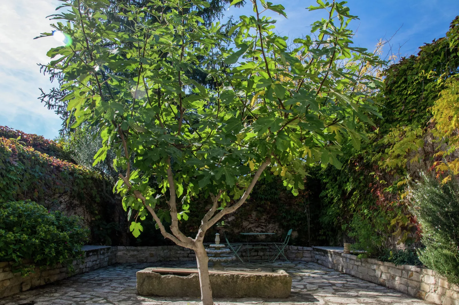 Au coeur du Languedoc-Tuinen zomer