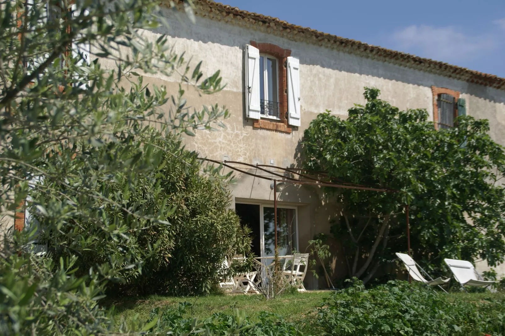 Maison de vacances - MURVIEL-LES-BEZIERS-Buitenkant zomer