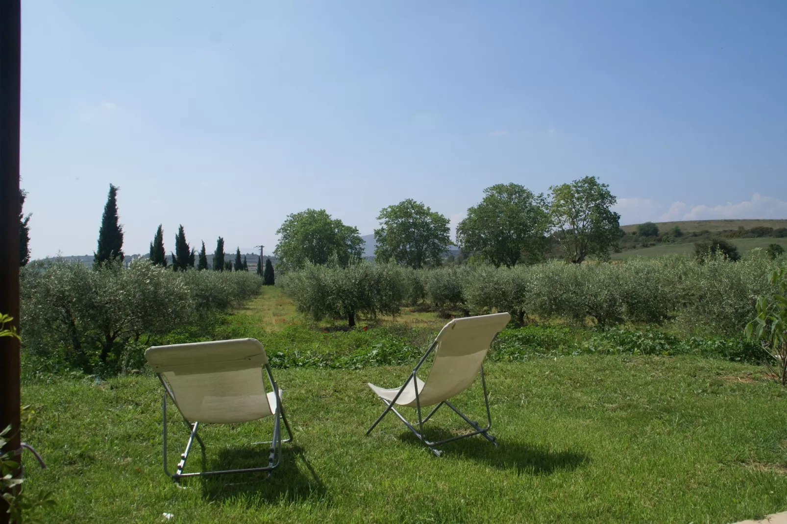 Maison de vacances - MURVIEL-LES-BEZIERS-Tuinen zomer