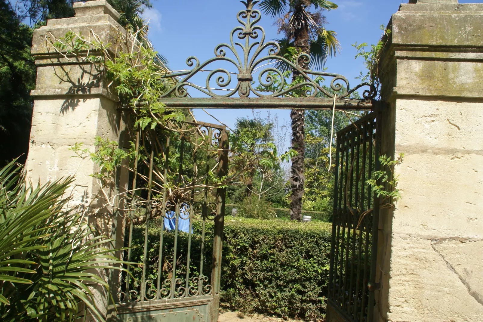 Maison de vacances - MURVIEL-LES-BEZIERS-Tuinen zomer