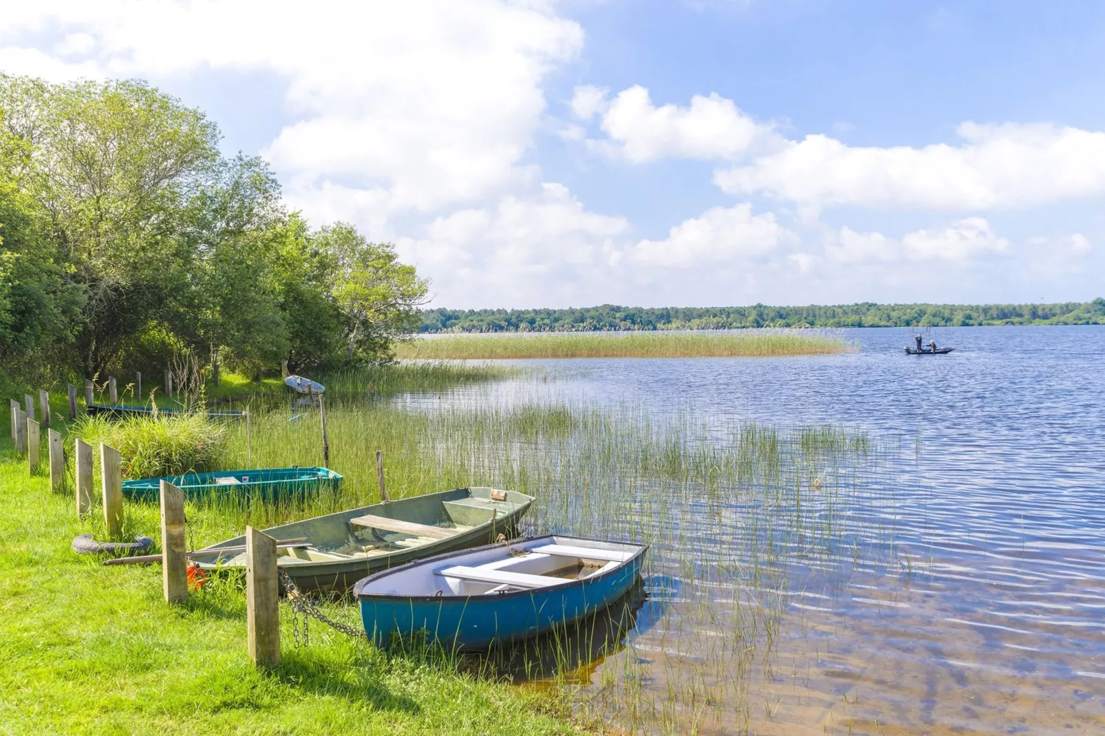 Residences Les Terrasses du Lac 4-Gebieden zomer 1km