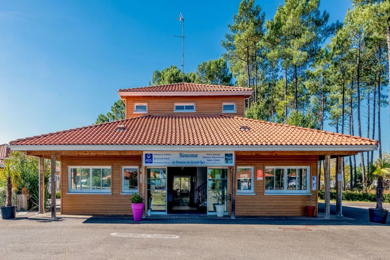 hallreception