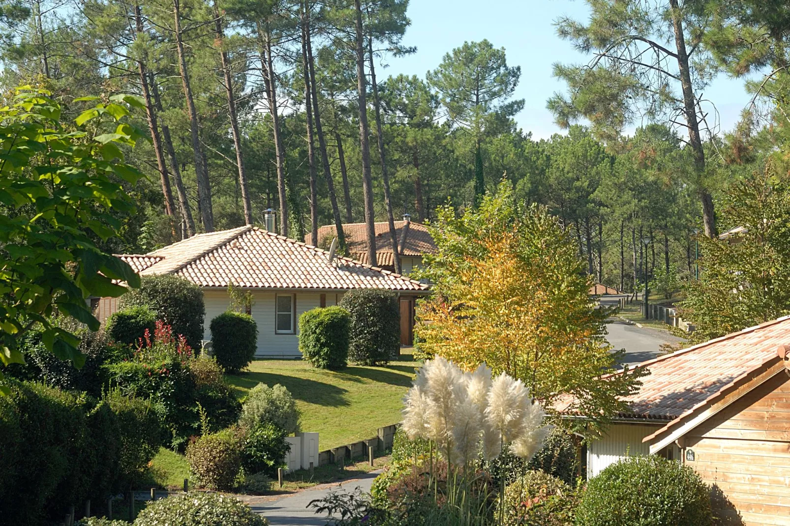 Villas Clairière aux Chevreuils 3-Gebieden zomer 1km