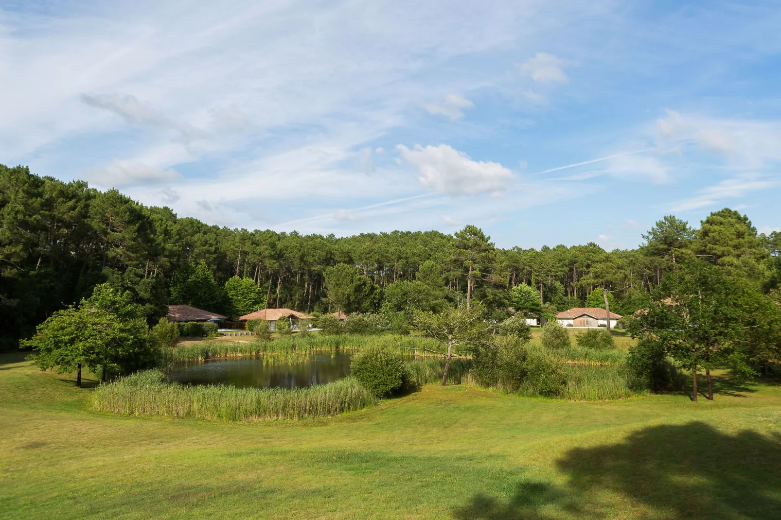 Villas Clairière aux Chevreuils 3-Gebieden zomer 1km