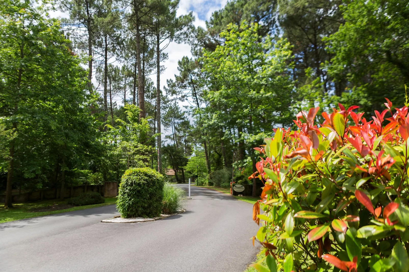 Villas Clairière aux Chevreuils 3-Gebieden zomer 1km