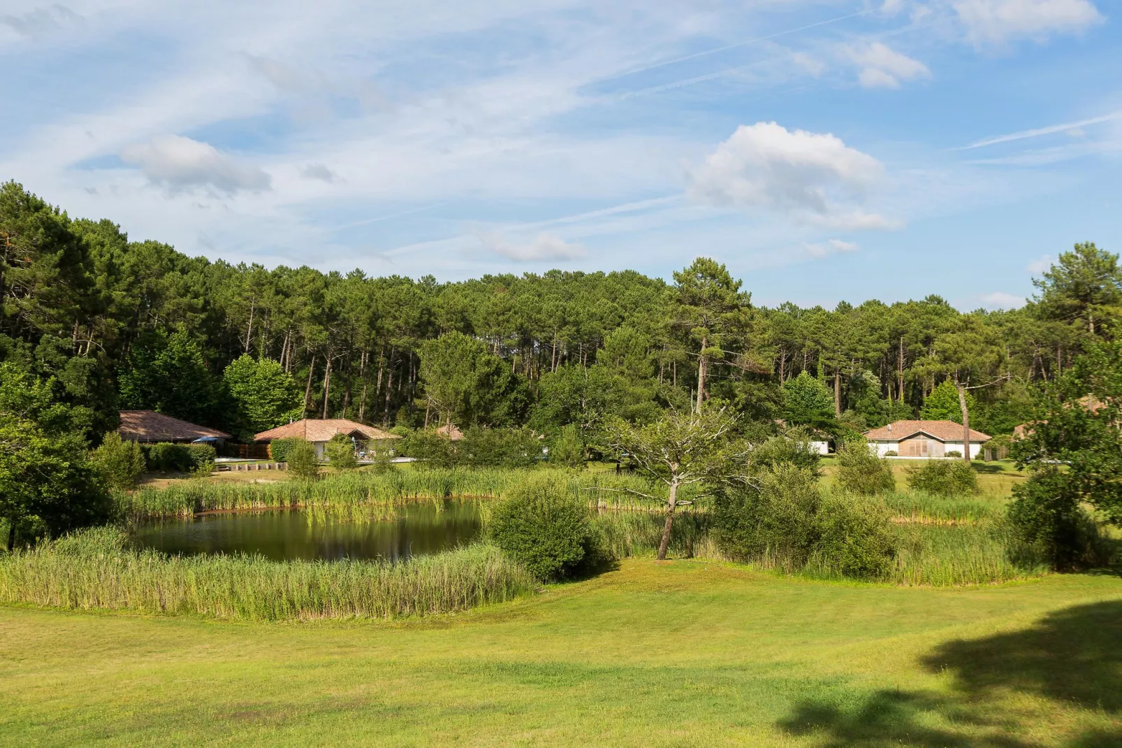 Villas Clairière aux Chevreuils 3-Gebieden zomer 5km