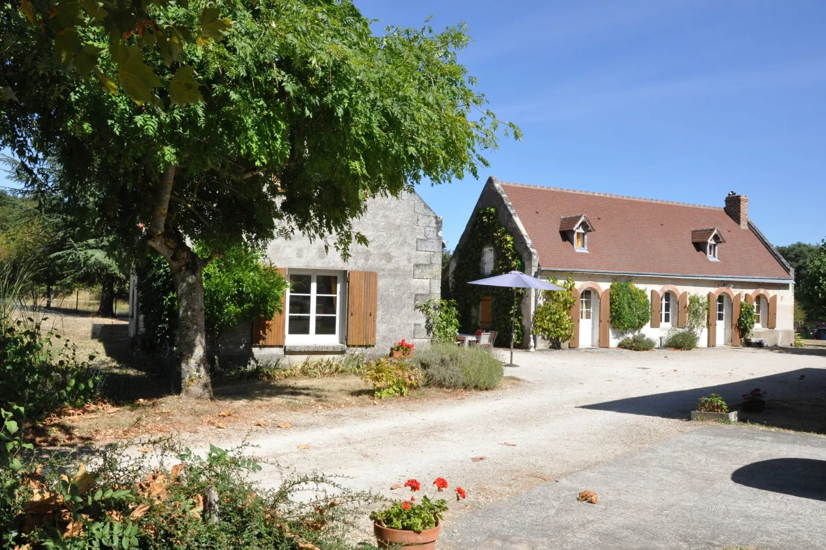 La Ferme les Drageonnières-Buitenkant zomer