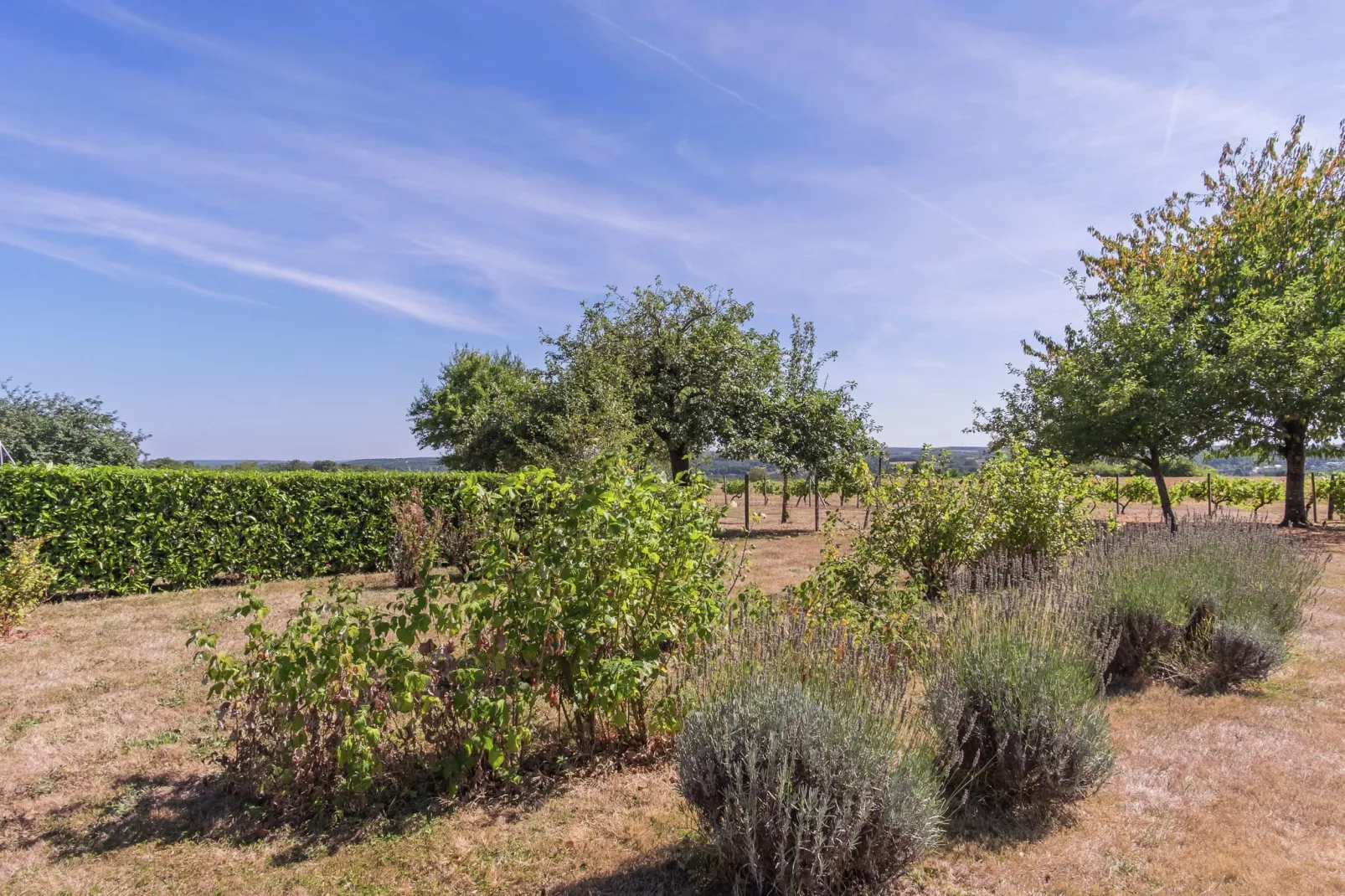 La Ferme les Drageonnières-Gebieden zomer 1km