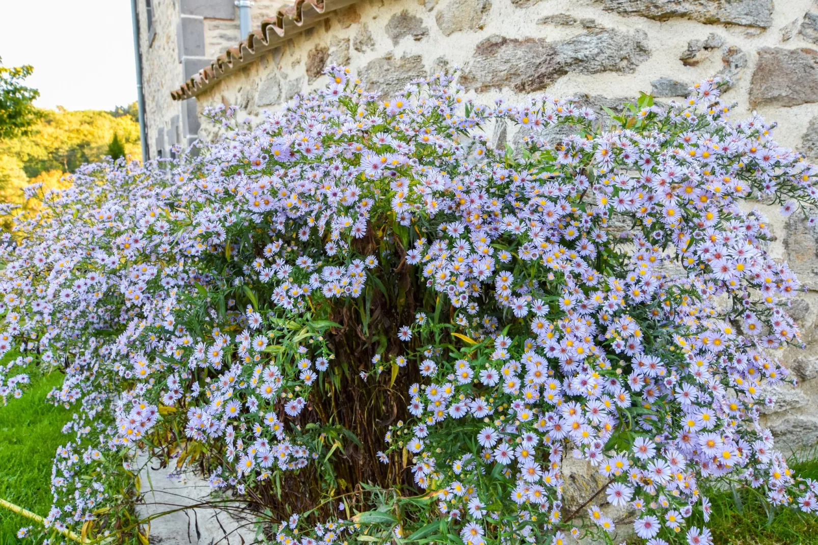 Maison à la campagne-Tuinen zomer