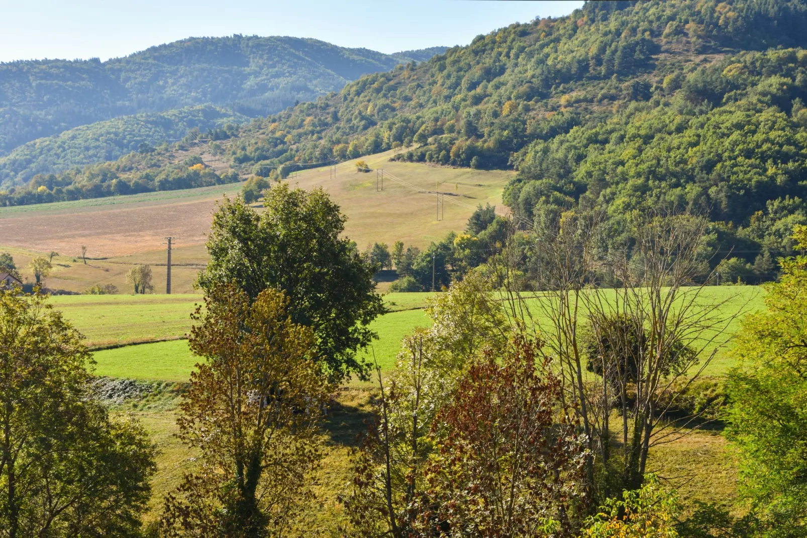 Rougeac-Gebieden zomer 1km