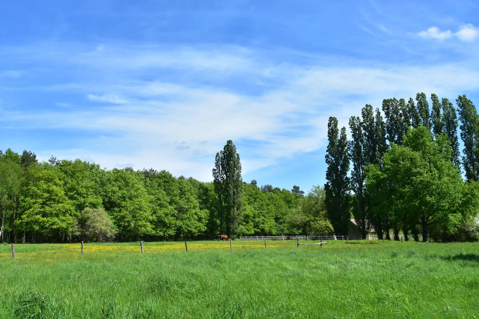 Maison de vacances Combreux-Uitzicht zomer