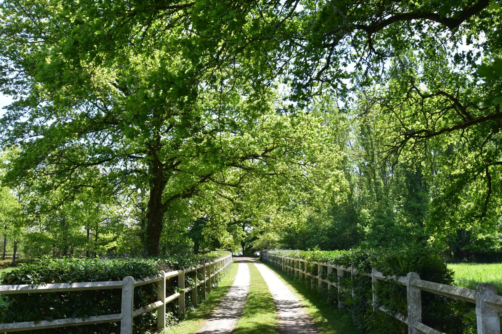 Maison de vacances Combreux-Gebieden zomer 1km