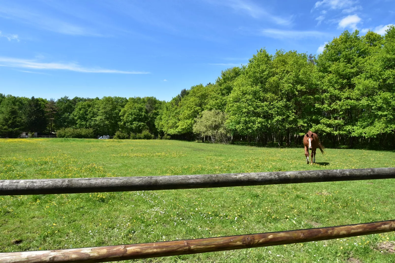 Maison de vacances Combreux-Gebieden zomer 1km