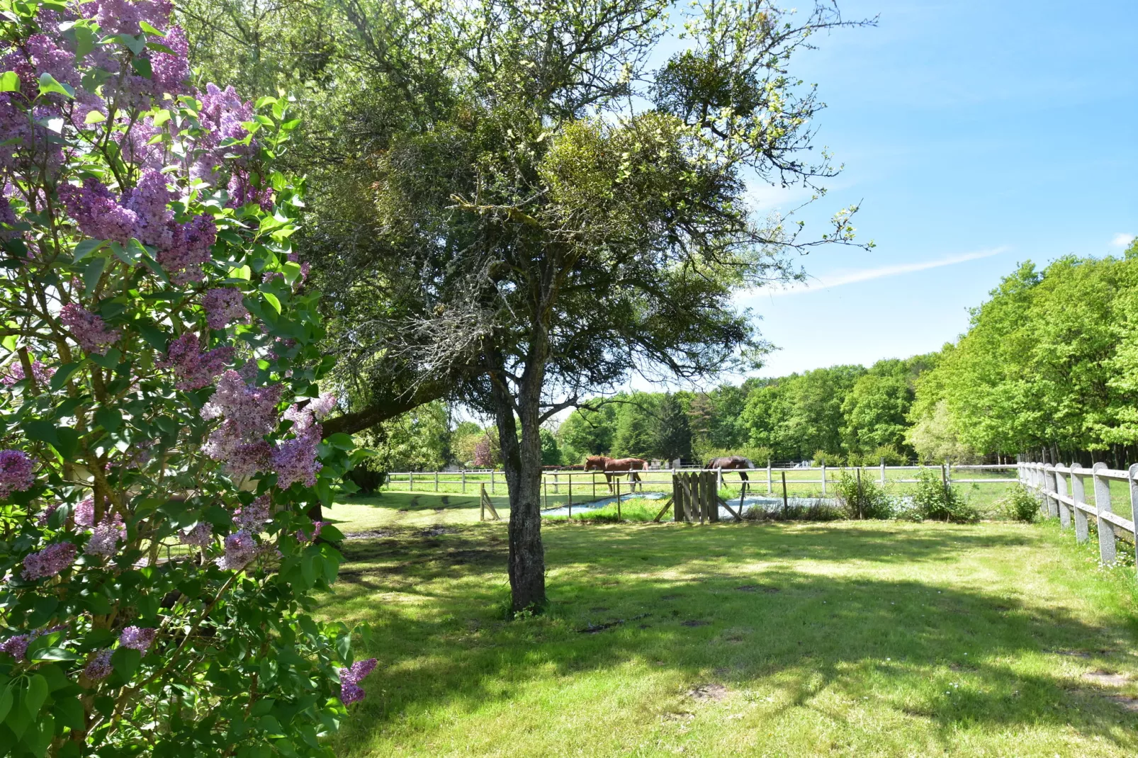 Maison de vacances Combreux-Gebieden zomer 1km