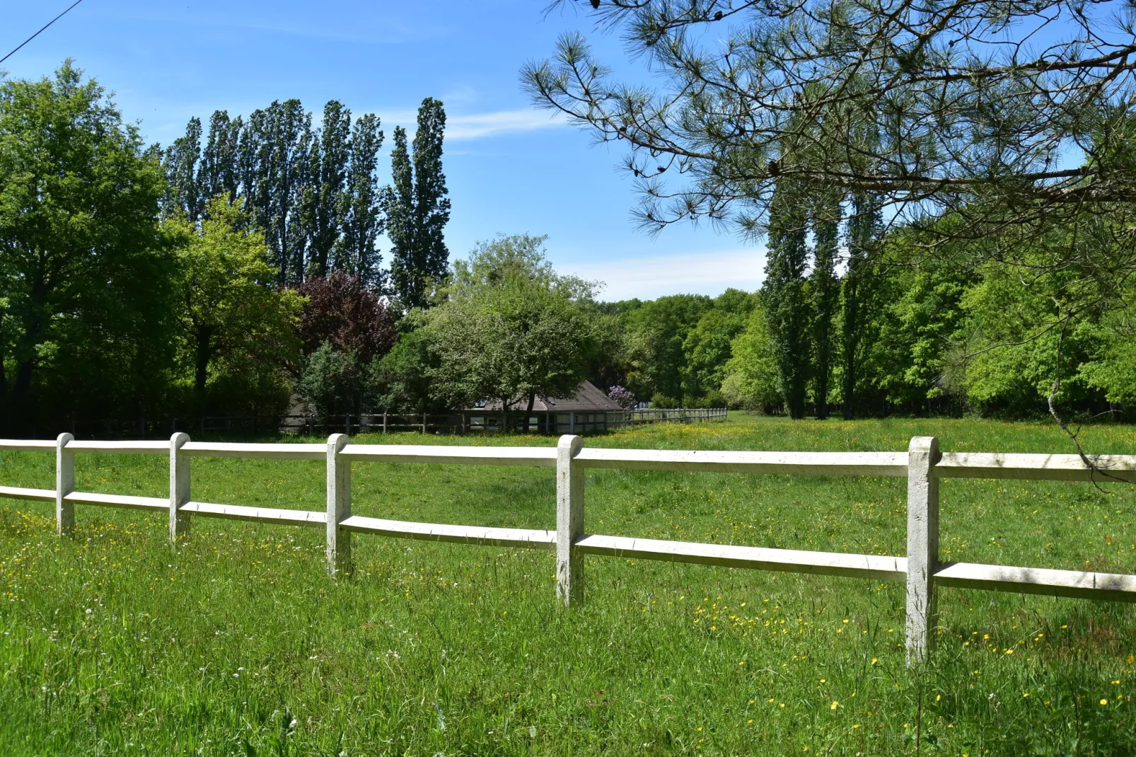 Maison de vacances Combreux-Gebieden zomer 1km