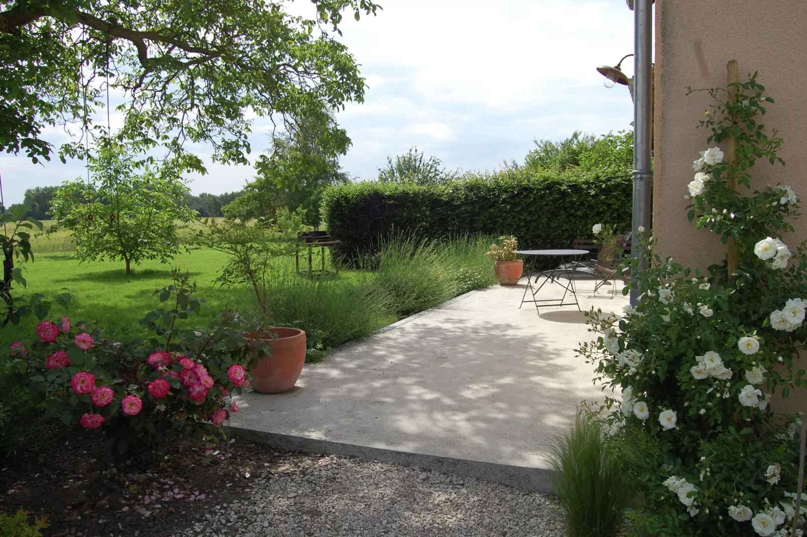 Maison de vacances - SULLY-SUR-LOIRE-Uitzicht zomer