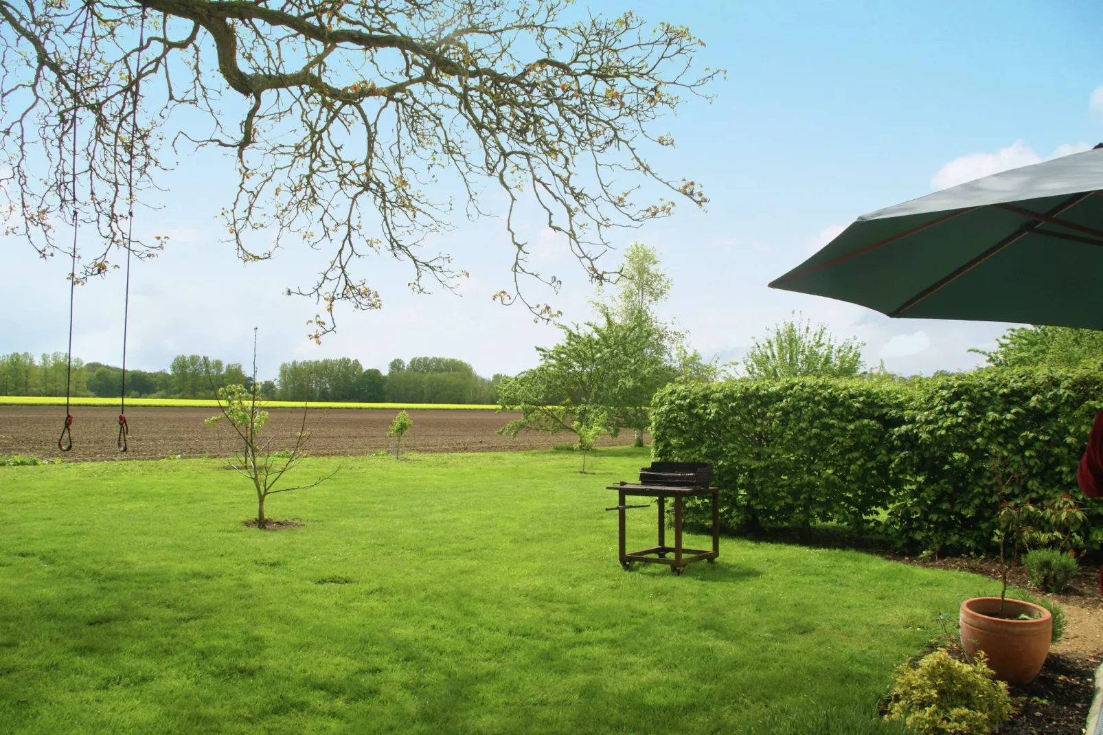 Maison de vacances - SULLY-SUR-LOIRE-Tuinen zomer