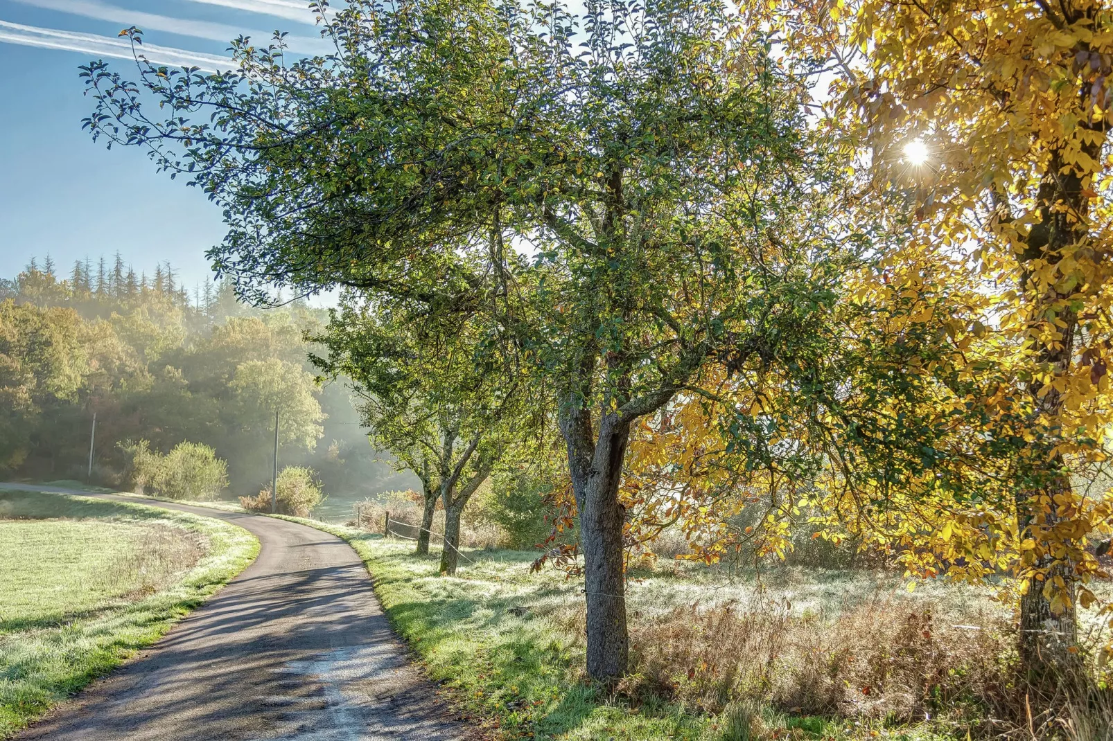 Le Repos près de Dordogne et Cahors-Gebieden zomer 1km