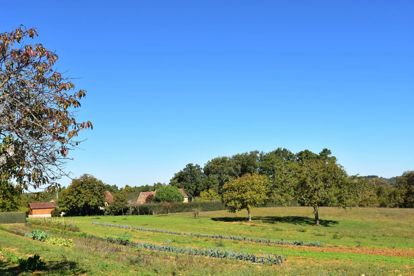 Maison de vacances Marminiac-Gebieden zomer 1km