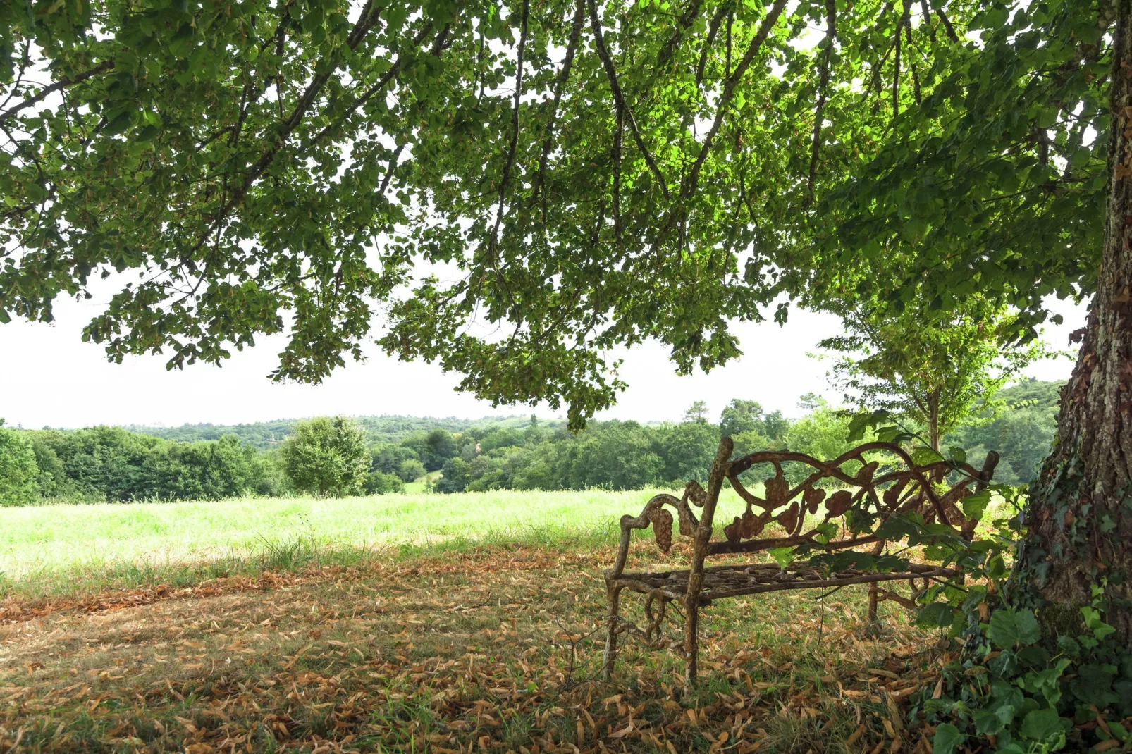 Maison de vacances Montcléra Cournes 8 pers-Tuinen zomer