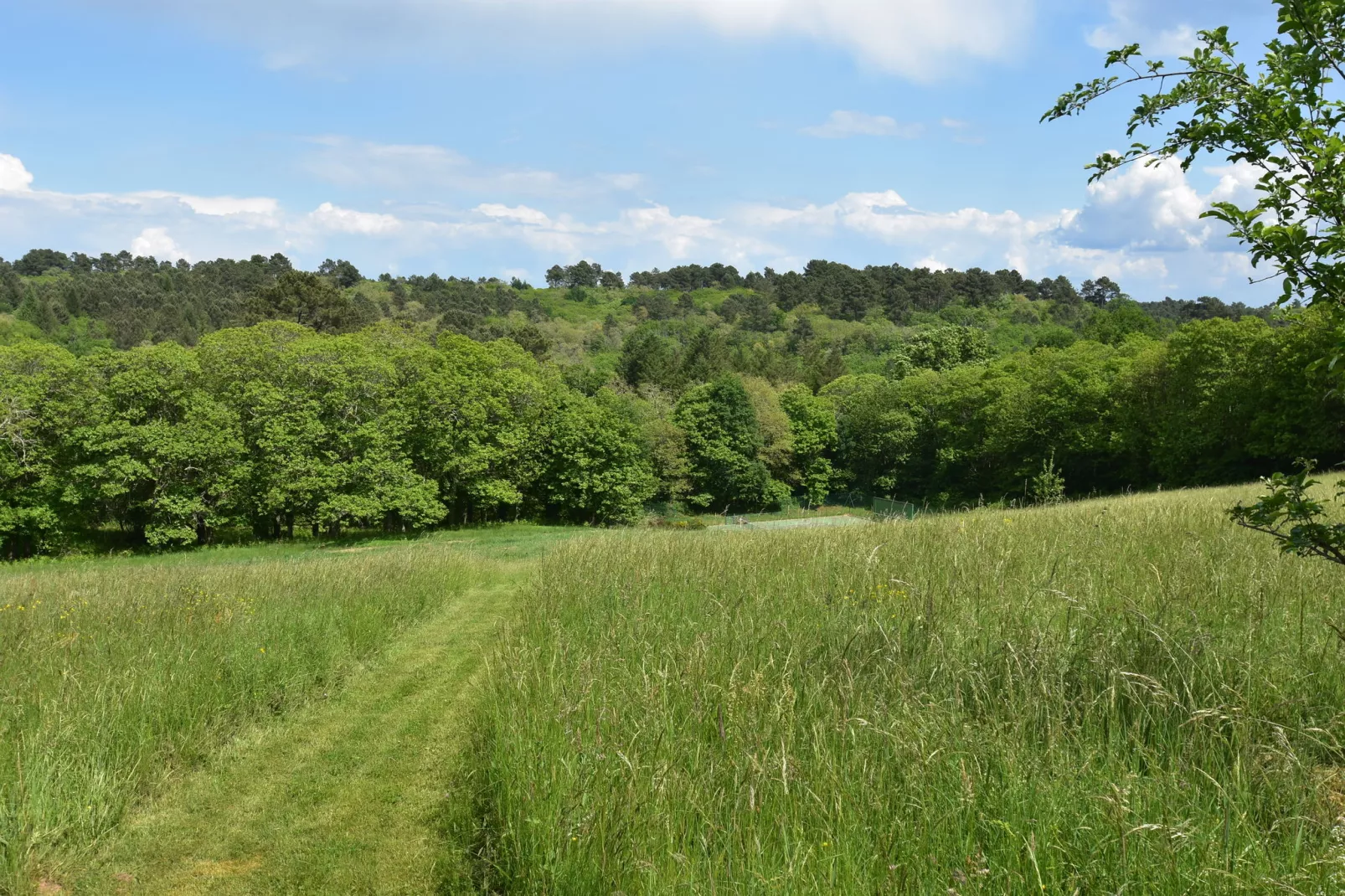 Maison de vacances Montcléra Cournes 8 pers-Gebieden zomer 1km