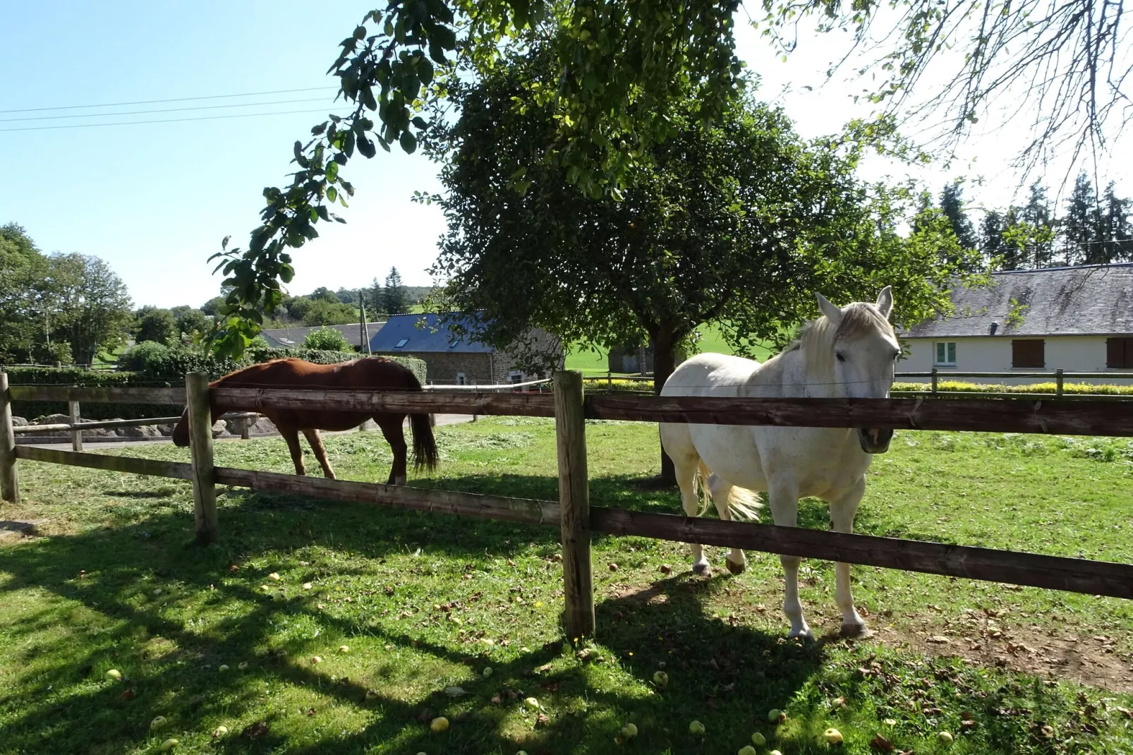 Ferienhaus Saint Ovin-Tuinen zomer