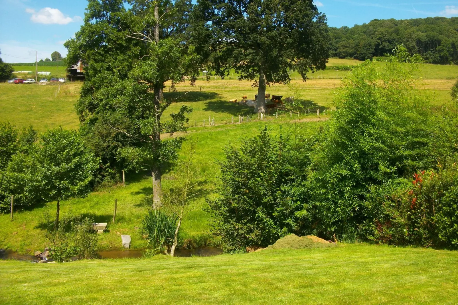 Gite 6 pers proche Mont St Michel-Tuinen zomer