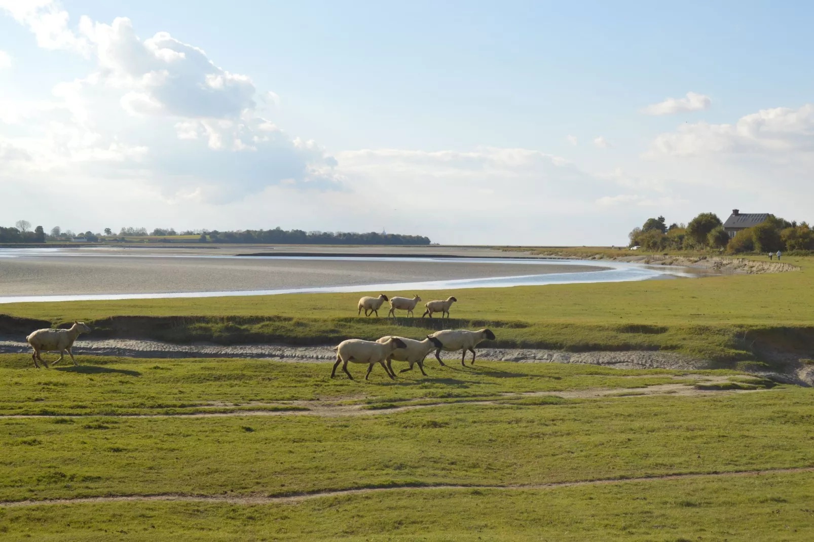 Gite 6 pers proche Mont St Michel-Gebieden zomer 20km